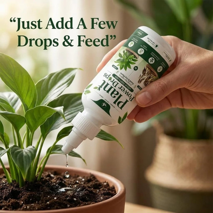 All-Garden Nourish power plant drops 🌱