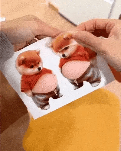 Why 50,000+ People Use This Chubby Dog Sticker on everything
